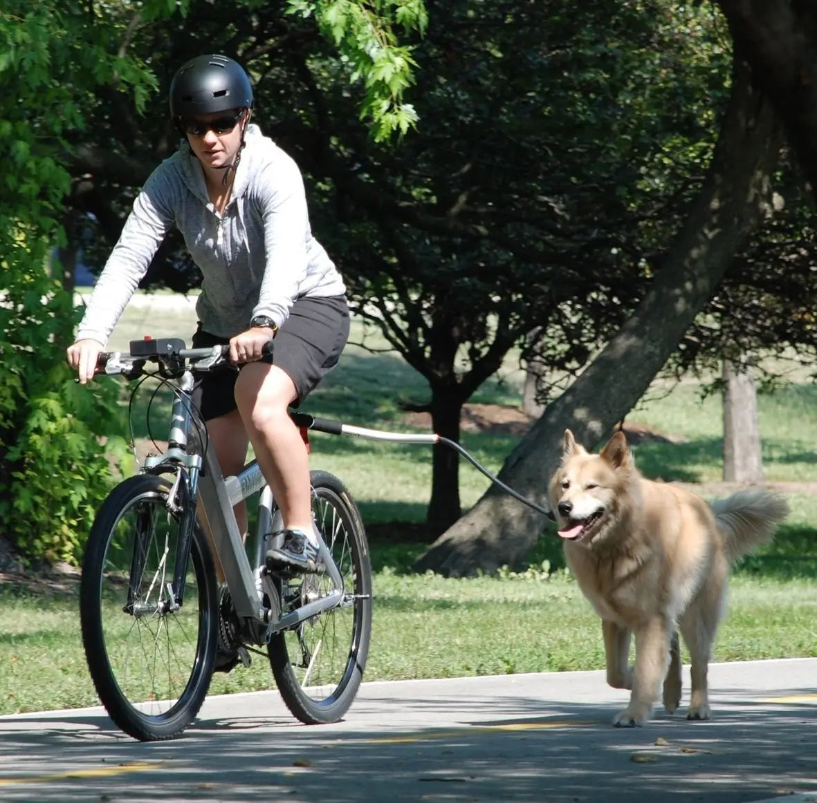 Femme promenant son chien à vélo de couleur claire avec un chien de couleur blanc. Image produit Boutiquechien