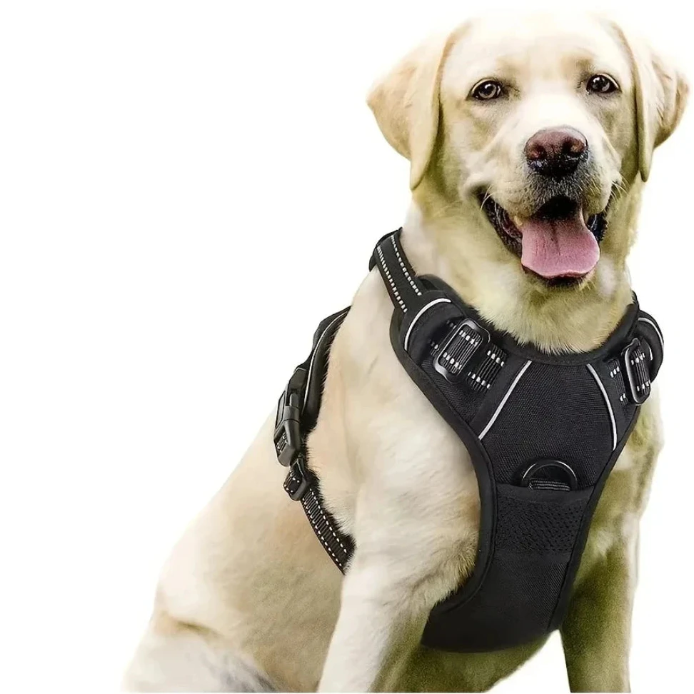 Gros chien de couleur blanc portant un gros harnais pour chien pas cher 