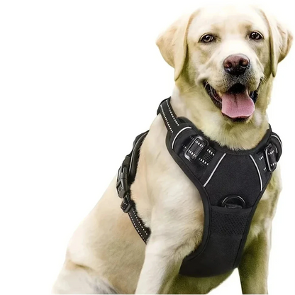 Gros chien de couleur blanc portant un gros harnais pour chien pas cher 