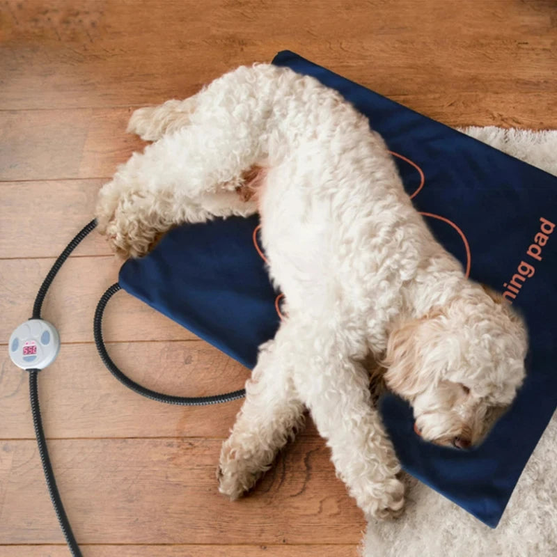 tapis d'hiver pour chien de couleur bleu et orange. L'image montre un chien blanc couché sur son tapis chauffant réglable de Boutiquechien