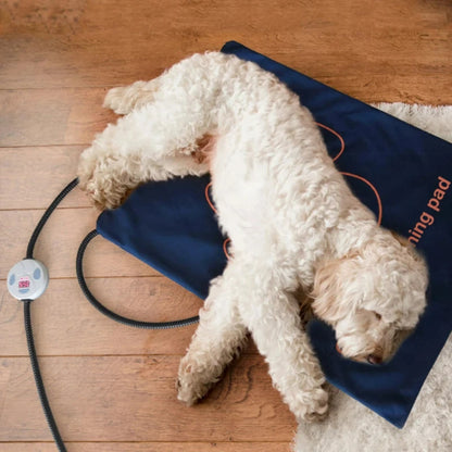 tapis d'hiver pour chien de couleur bleu et orange. L'image montre un chien blanc couché sur son tapis chauffant réglable de Boutiquechien