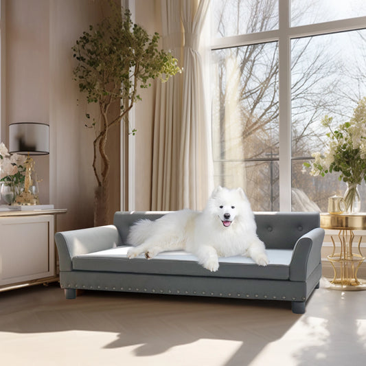 Grand canapé pour chien de couleur gris posé dans un salon de couleur claire avec en fond des arbres et fleur. Il y a une grande fenêtre blanc en fond. Image produit Boutiquechien