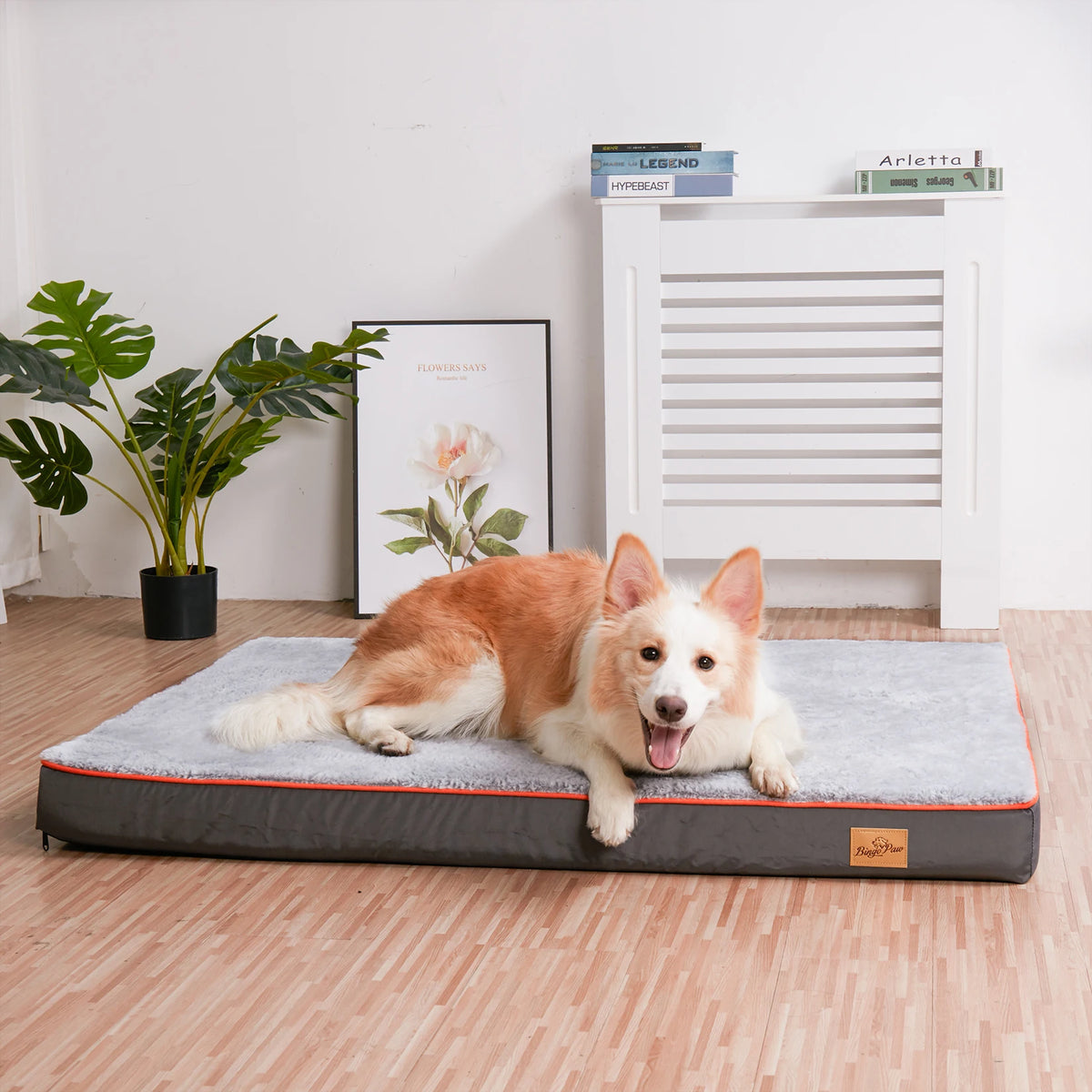 grand tapis pour chien de couleur gris. Le chien est de couleur Roux et blanc avec en fond une plante verte et un meuble blanc. Image produit Boutiquechien