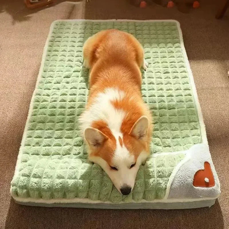 chien qui dors sur son panier pour chien xxl de boutiquechien. Le panier est de couleur vert et gris avec un chien de couleurs roux et blanc 