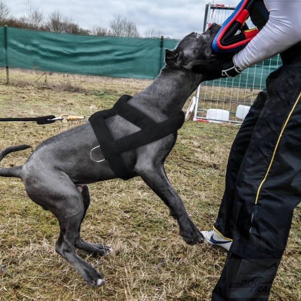 chien se faisant de l'entrainement à la morsure avec le harnais noir chien molletonné de boutiquechien