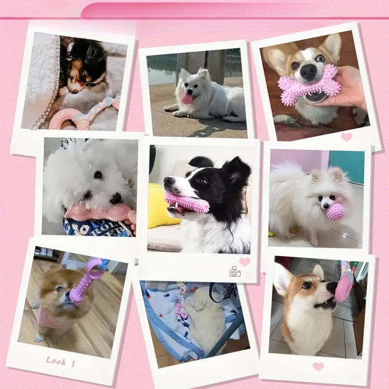 Chien résistant de couleur rose pour chien. Image montrant plein de chien jouant avec les jouets résistant. Image produit Boutiquechien Image