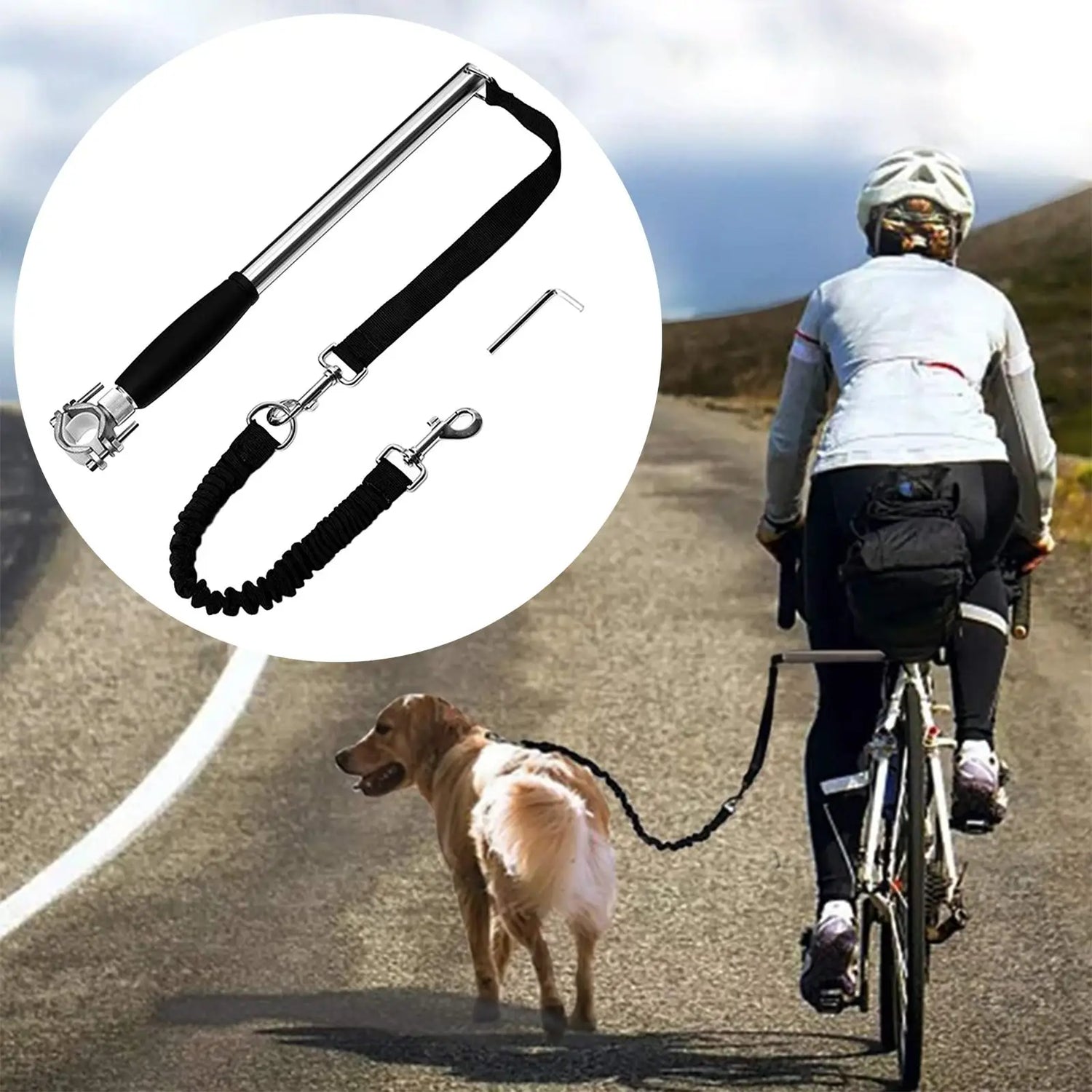 Chien se faisant promener à vélo par une femme. Image produit Boutiquechien