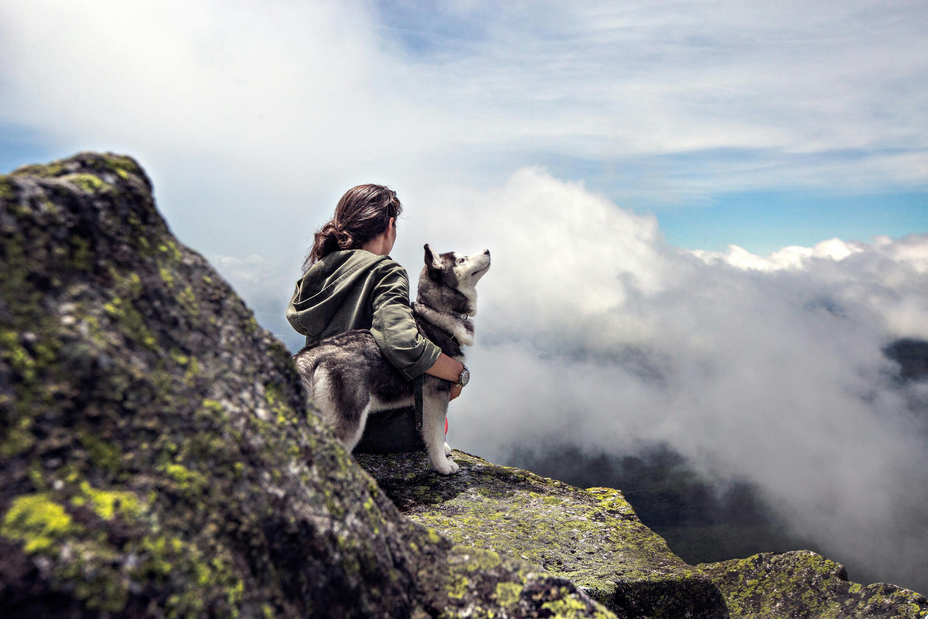 chien et son maître sur une montagne - BoutiqueChien