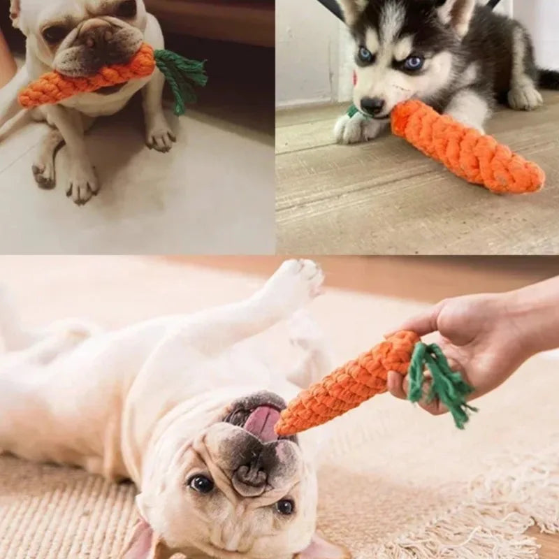 trois chiens joints avec la carotte en corde orange pour chiens. Les chiens sont des buldog et un bébé husky. Image produit Boutiquechien