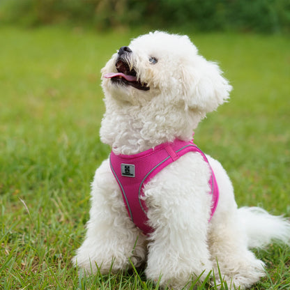 Chiot blanc assis dans l'herbe verte avec un harnais chiot rose de boutiquechien
