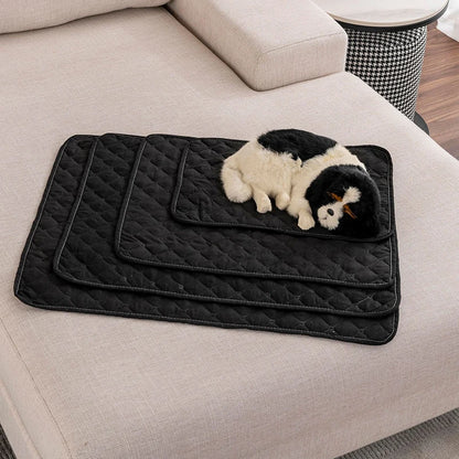 Chiot noir et blanc couché sur un tapis de couleur noir en montrant les différentes tailles. Le chien est sur un grande canapé de couleur blanc. Image produit Boutiuechien