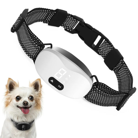 Petit chien portant le collier anti-aboiement pour chien de couleur blanc et noir. Image produit Boutiquechien