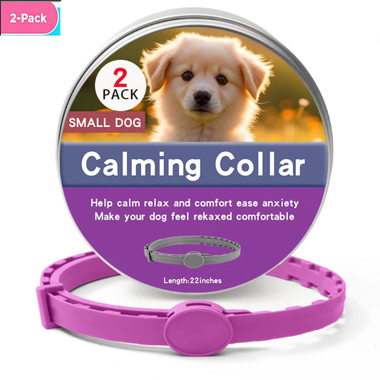Collier anti-stress pour chiot de couleur violet double 