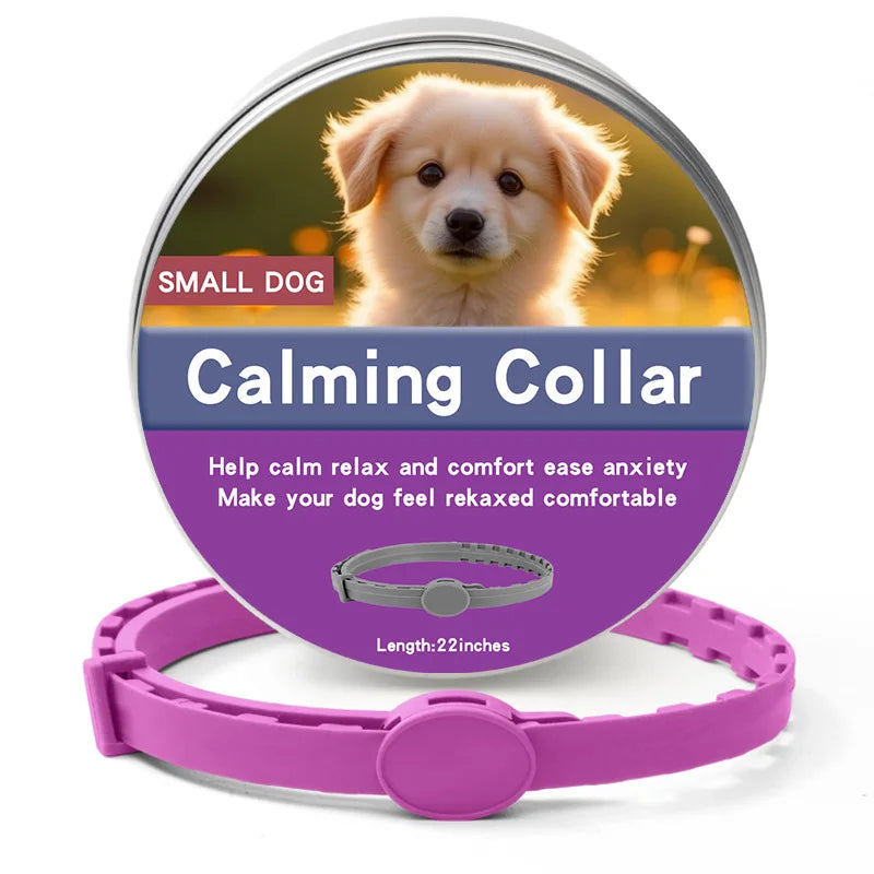 Collier anti-stress pour chiot de couleur violet