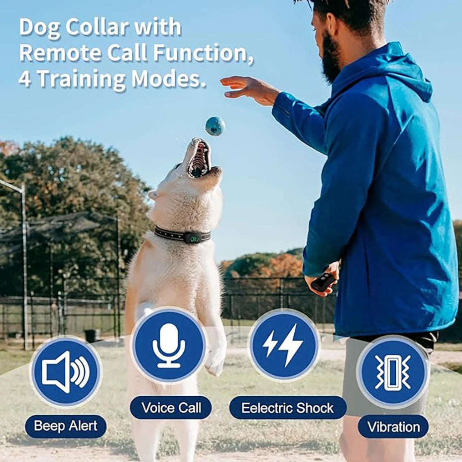 Collier anti aboiement pour petit chien de 2 kg avantages du produit  Image