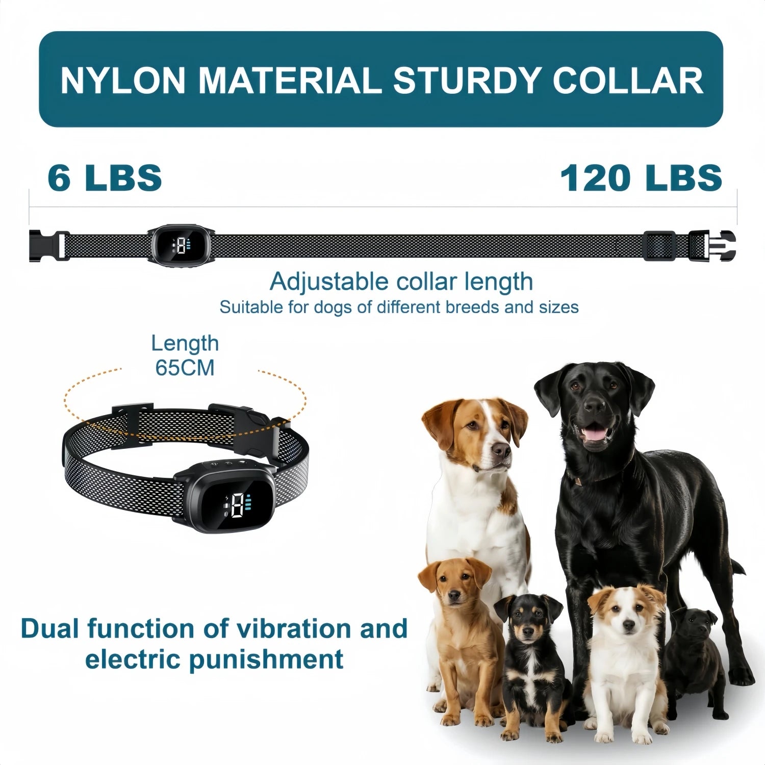 Collier anti aboiement pour petit chien de 3 kg dimensions  Image