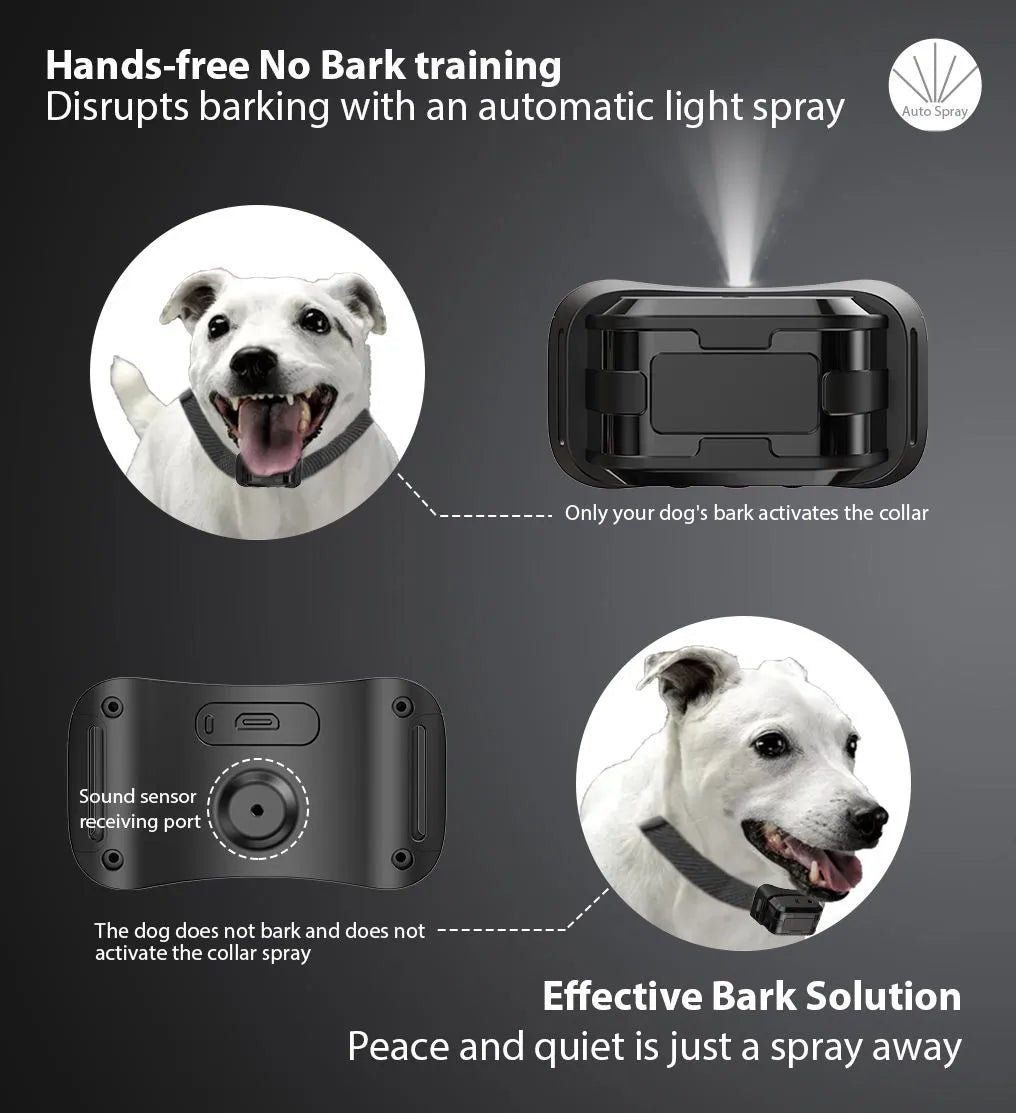 Collier anti aboiement spray pour petit chien fonction du spray Image