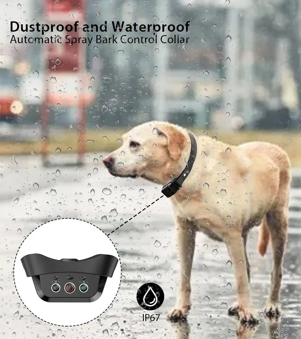 Collier anti aboiement spray pour petit chien waterproof Image