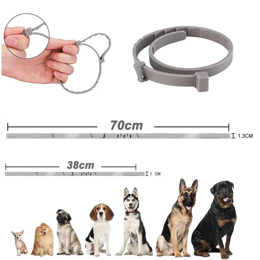 Collier anti puce chien efficace dimensions  Image