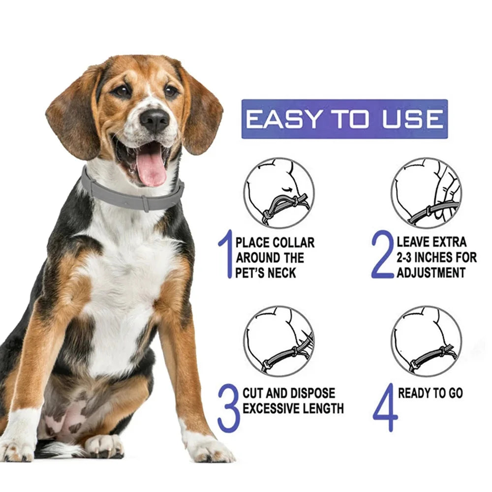 Collier anti puce chien efficace fonctionnement  Image