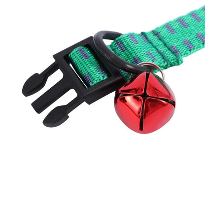 Collier anti puce chiot de couleur vert avec une clochette rouge