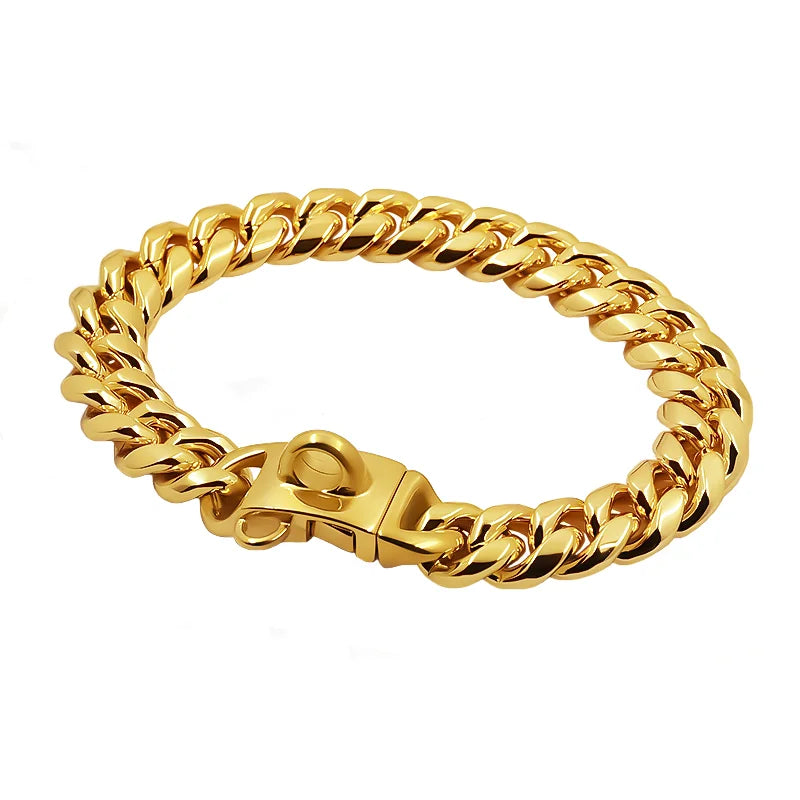 Collier chainette chien ferme Image