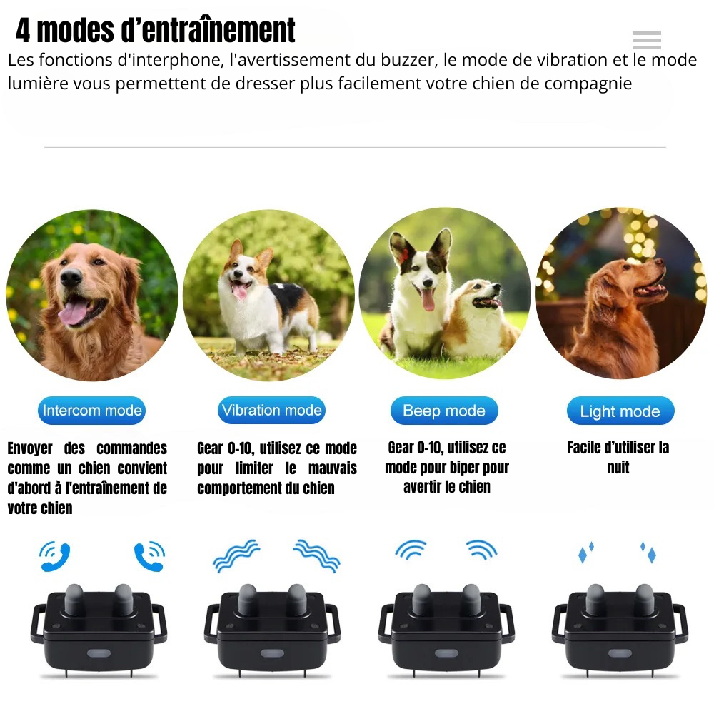 collier avec modes pour chien. 4 modes pour dresser différemment votre chien. Image produit Boutiquechien