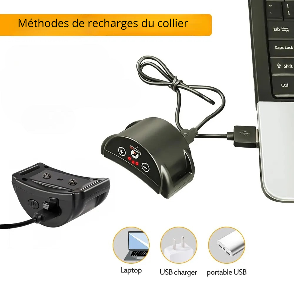 Collier pour chien rechargeable par laptop, usb charger et portable usb. Image produit Boutiquechien Image