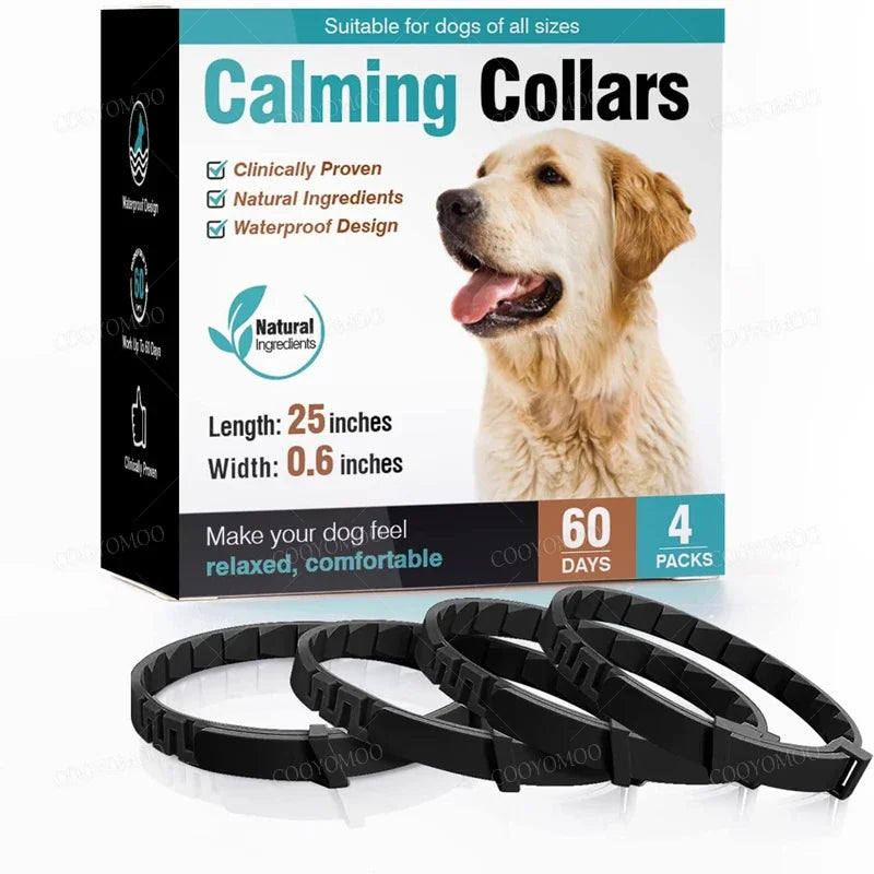 collier anti-tique chien de couleur noir pour Boutiquechien