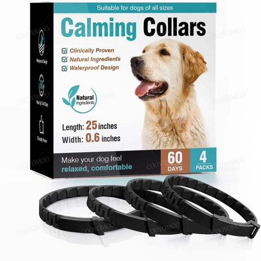 collier anti-tique chien de couleur noir pour Boutiquechien