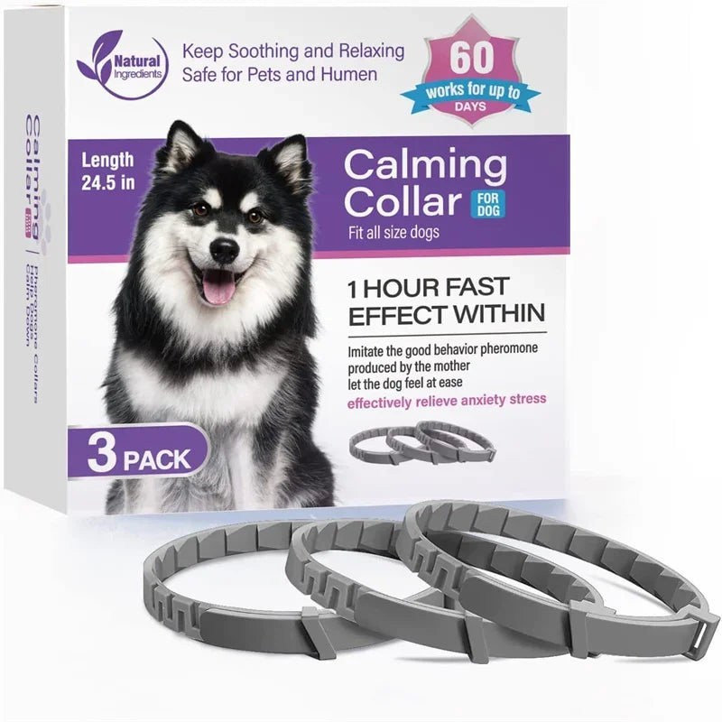chien collier anti-tique pour petit chien. image produit Boutiquechien