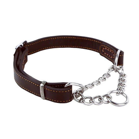 Collier étrangleur pour chienne couleur noir anti traction. Image produit Boutiquechien