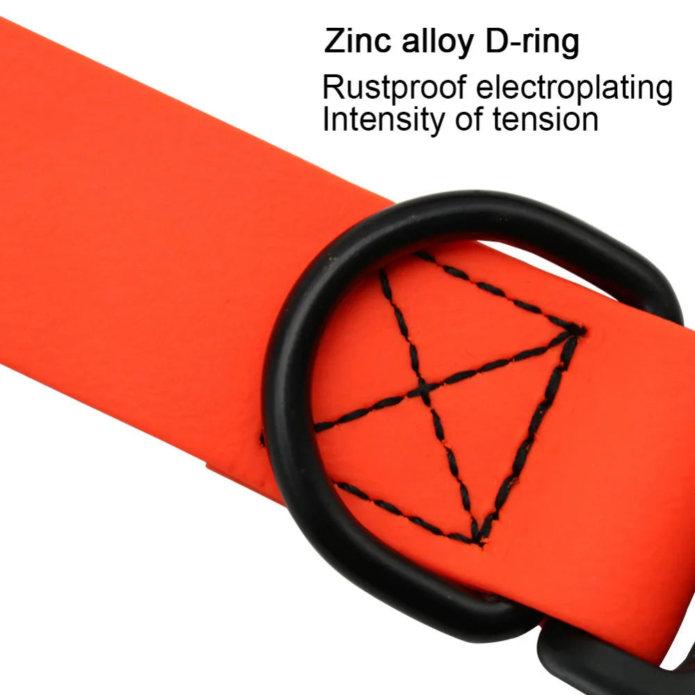 Collier chien biothane mousqueton