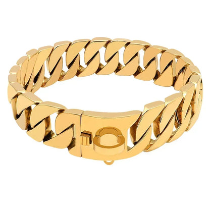 Collier chien chaine non etrangleur or