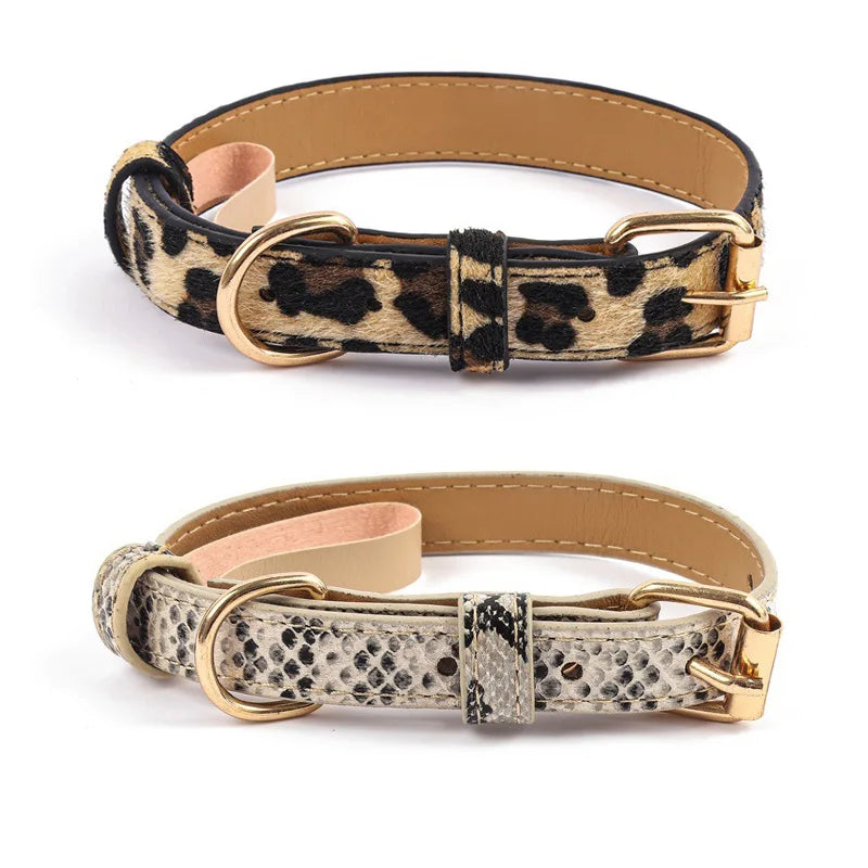 Collier chien chic deux couleurs