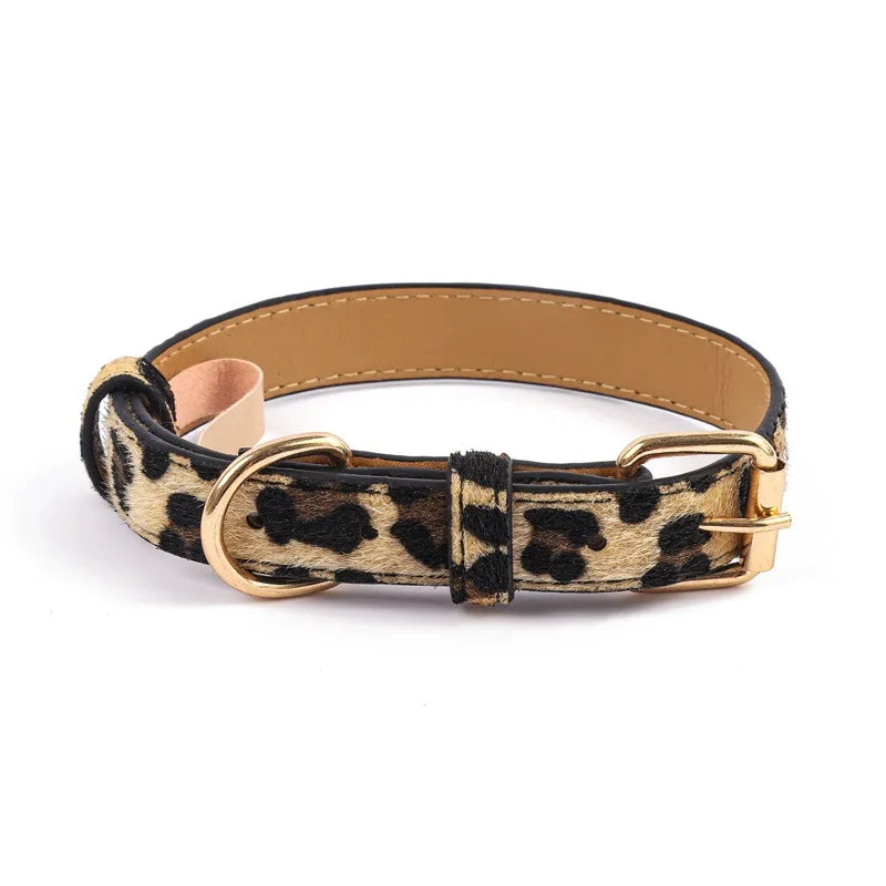 Collier chien chic leopard