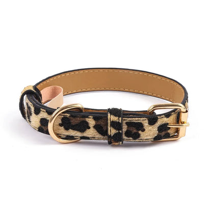 Collier chien chic leopard