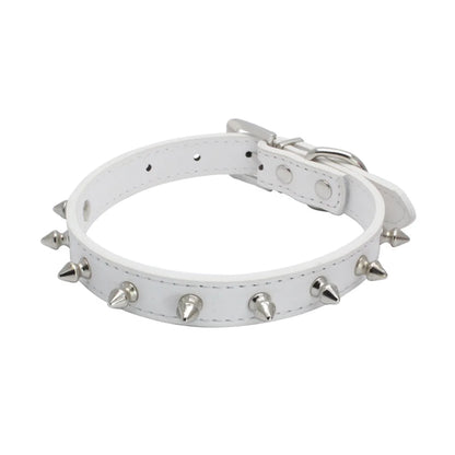 Collier chien cuir blanc
