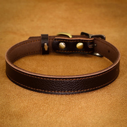 collier cuir pour chien de couleur brun. image produit Boutiquechien