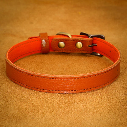 collier cuir pour chien de couleur orange de Boutiquechien