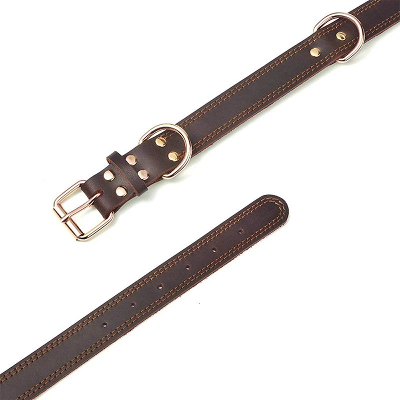 Collier chien cuir haut de gamme attache du produit 