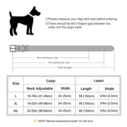 Collier chien cuir large dimensions