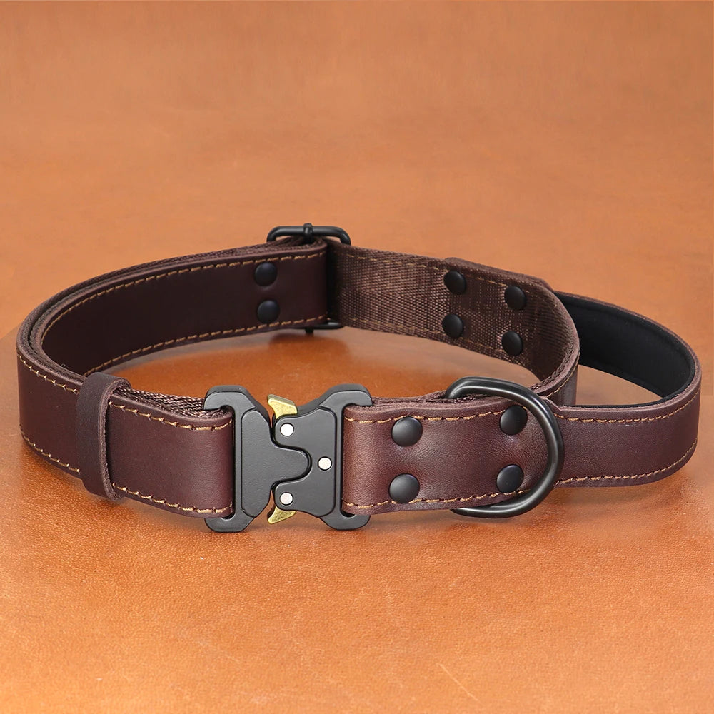 Collier chien cuir luxe brun