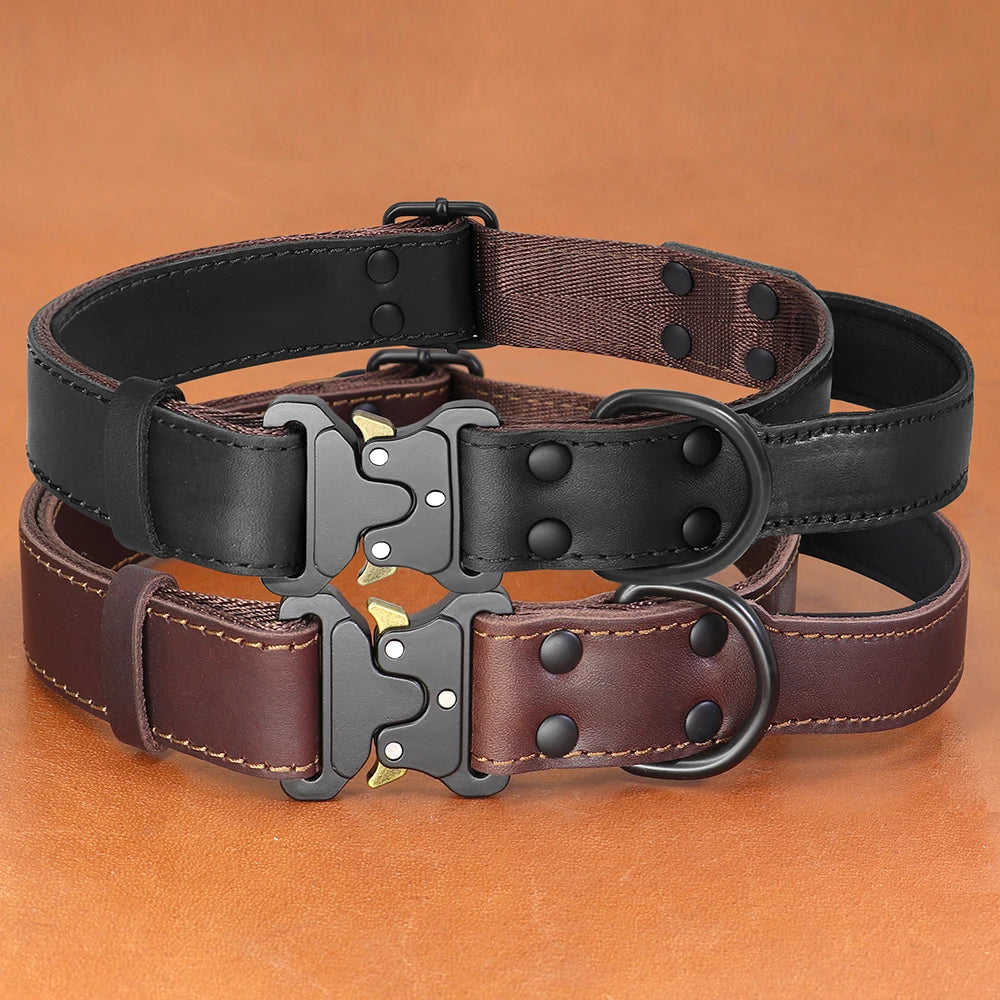 Collier chien cuir luxe deux couleurs Image