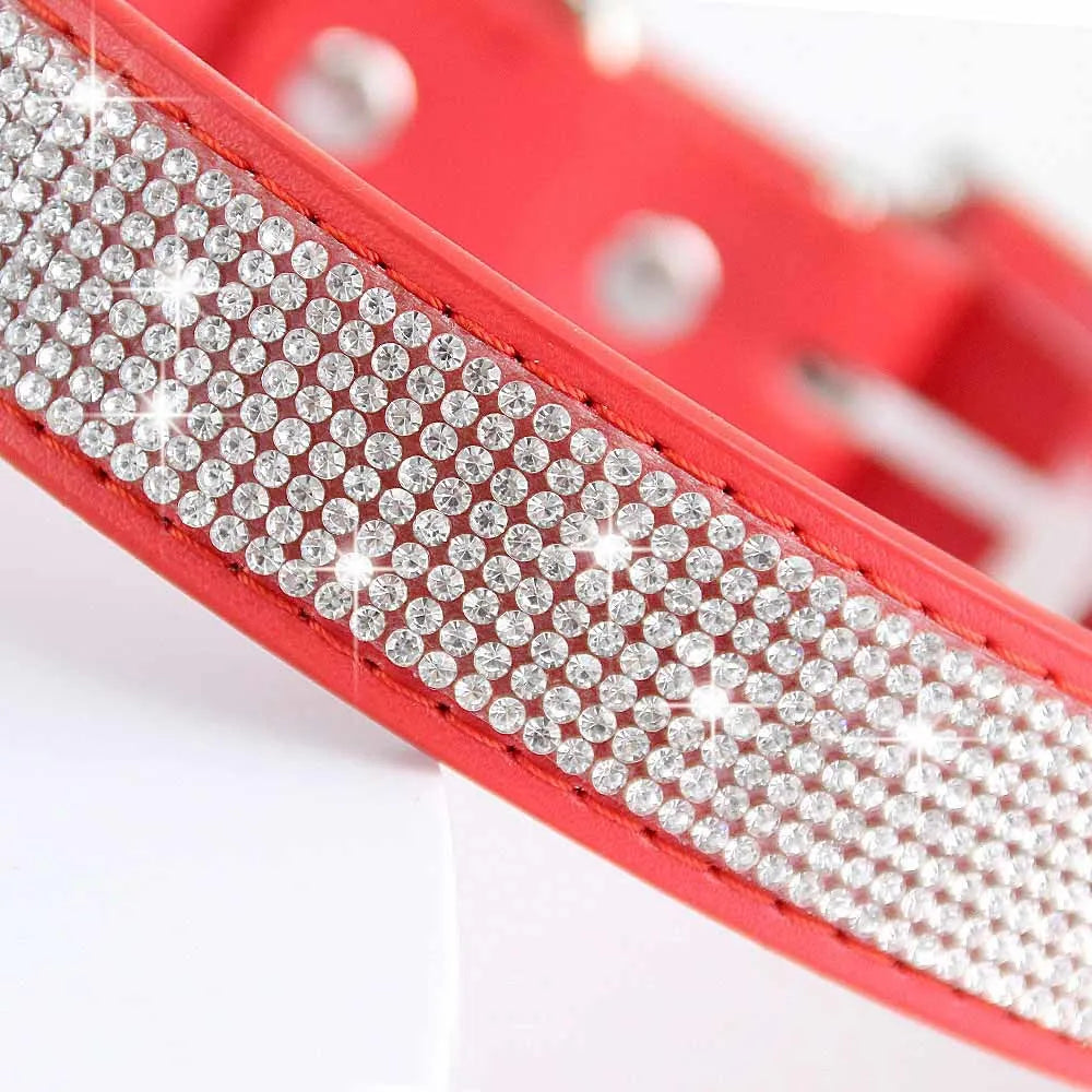 Collier chien cuir orange paillette Image