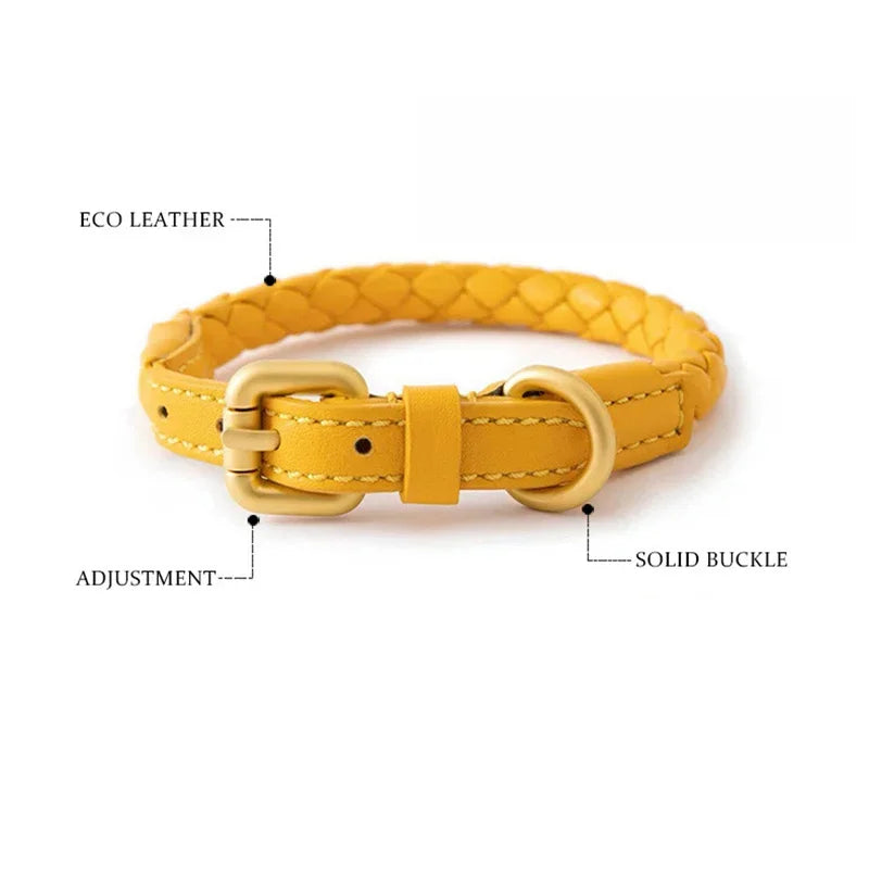 Collier chien cuir rond jaune avantages  