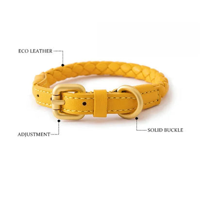 Collier chien cuir rond jaune avantages  