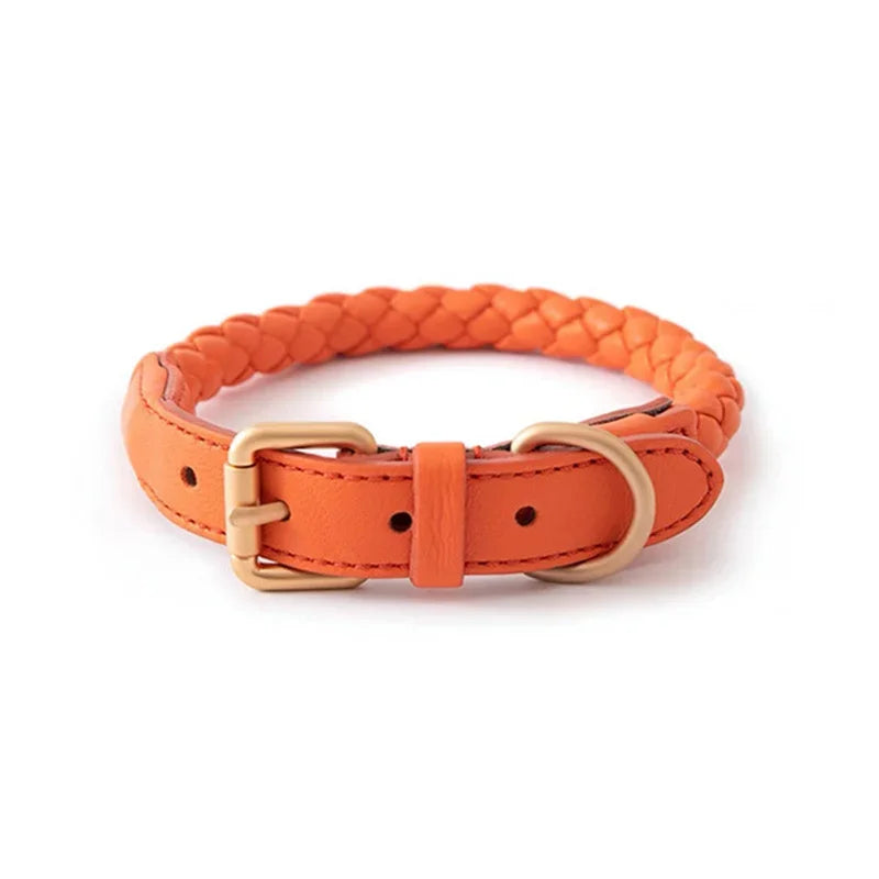Collier chien cuir rond orange 