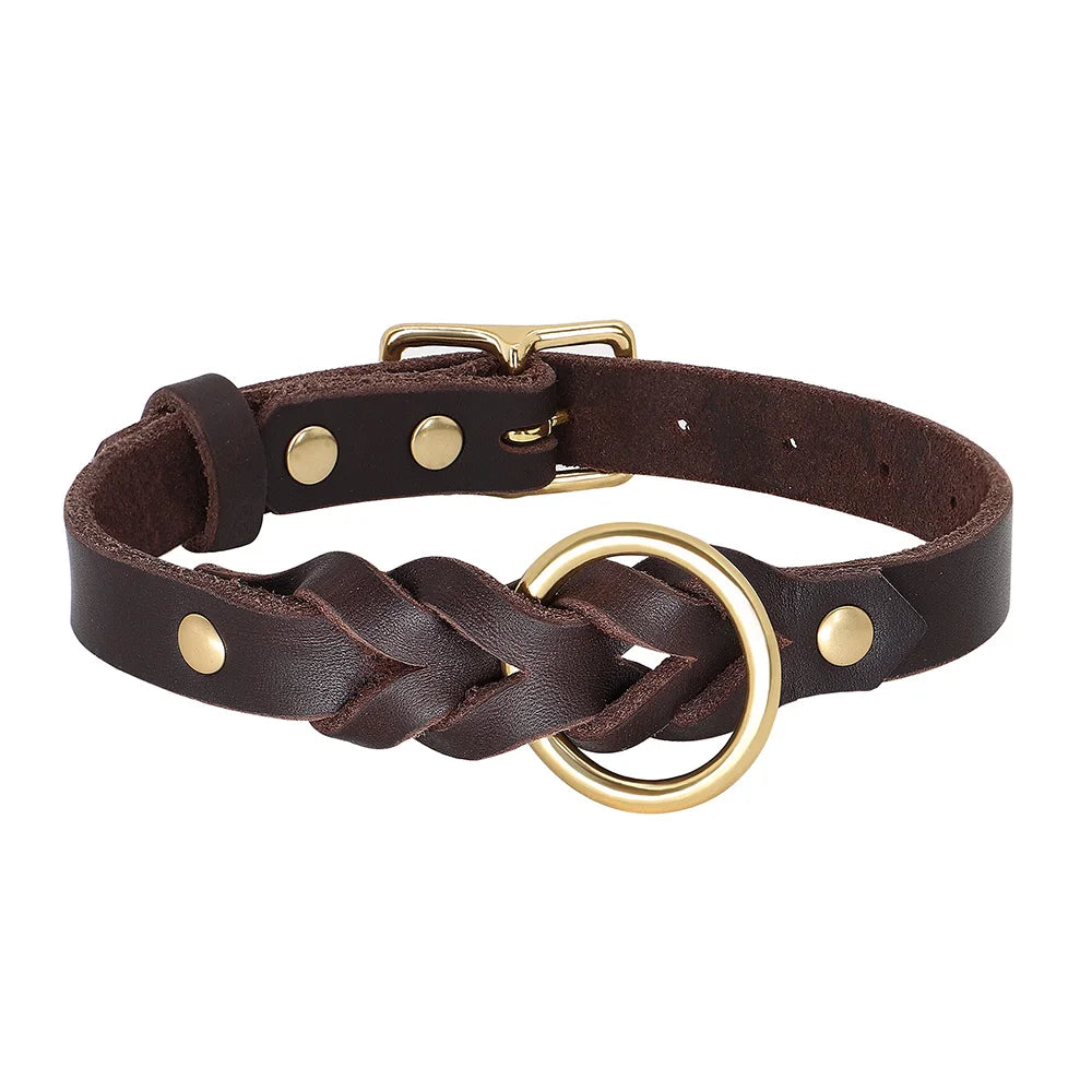 Collier chien cuir tressé brun 