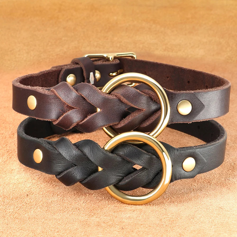 Collier chien cuir tressé deux couleurs différentes  Image